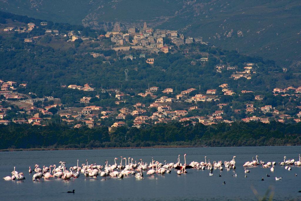 Isola Hotel Borgo  Dış mekan fotoğraf